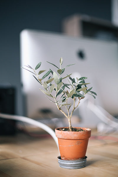 Grassroots ways to fund classroom technology